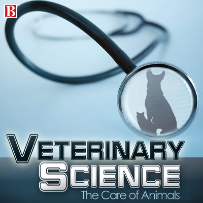 MoU signed to introduce 'Ayurveda disciplines in veterinary science: Govt