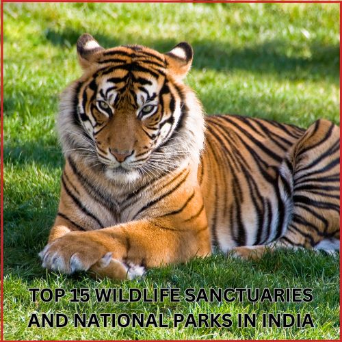 Top 15 Wildlife Sanctuaries And National Parks In India To Visit In 2025-thumnail