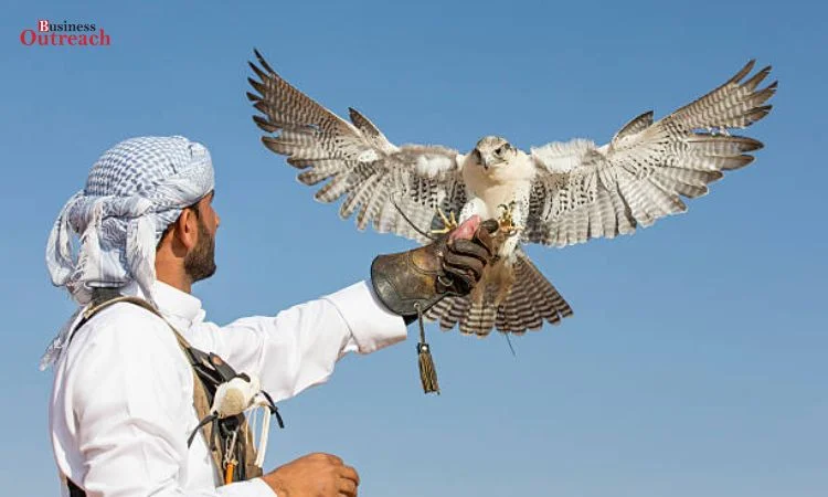 Falconry Experience in Dubai