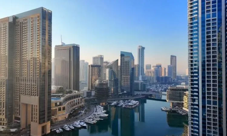 DMCC Contributes to Dubai's Foreign Direct Investment