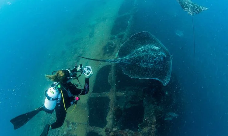 Inchcape Wreck