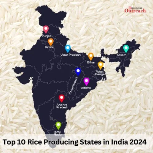 Top-10 Rice Producing States in India 2024-thumnail