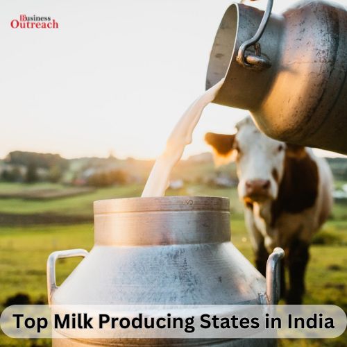 Top Milk Producing States in India-thumnail