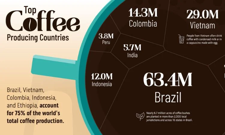 Coffee Producing Countries