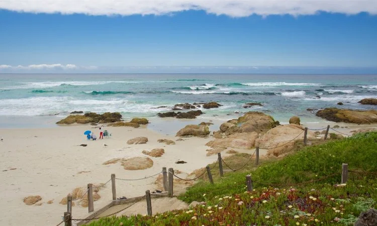 Asilomar State Beach, California