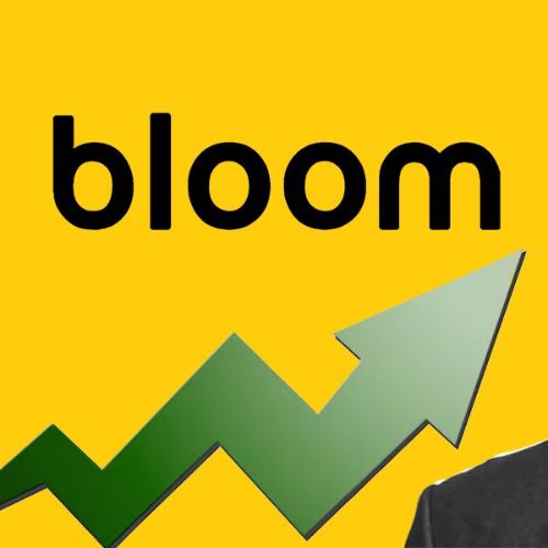 Bloom Hotels Reports ₹250 Crore Revenue in FY24 with Profit Surge of 2.3 Times-thumnail