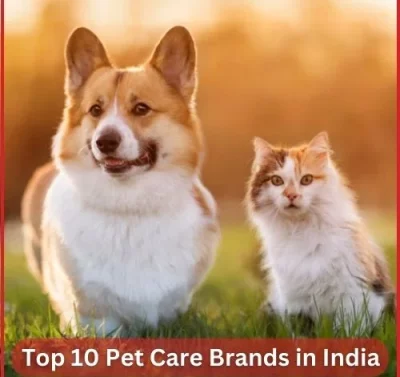 Top 10 Pet Care Brands in India-thumnail