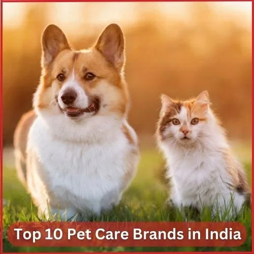 Top 10 Pet Care Brands in India-thumnail