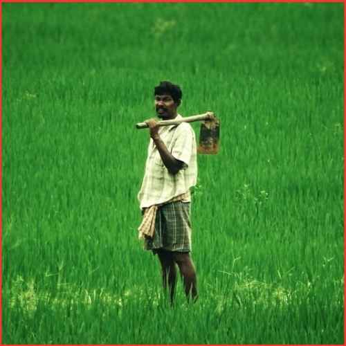 Jai Kisan Secures Extended Series B Investment Amid Rural Fintech Expansion-thumnail